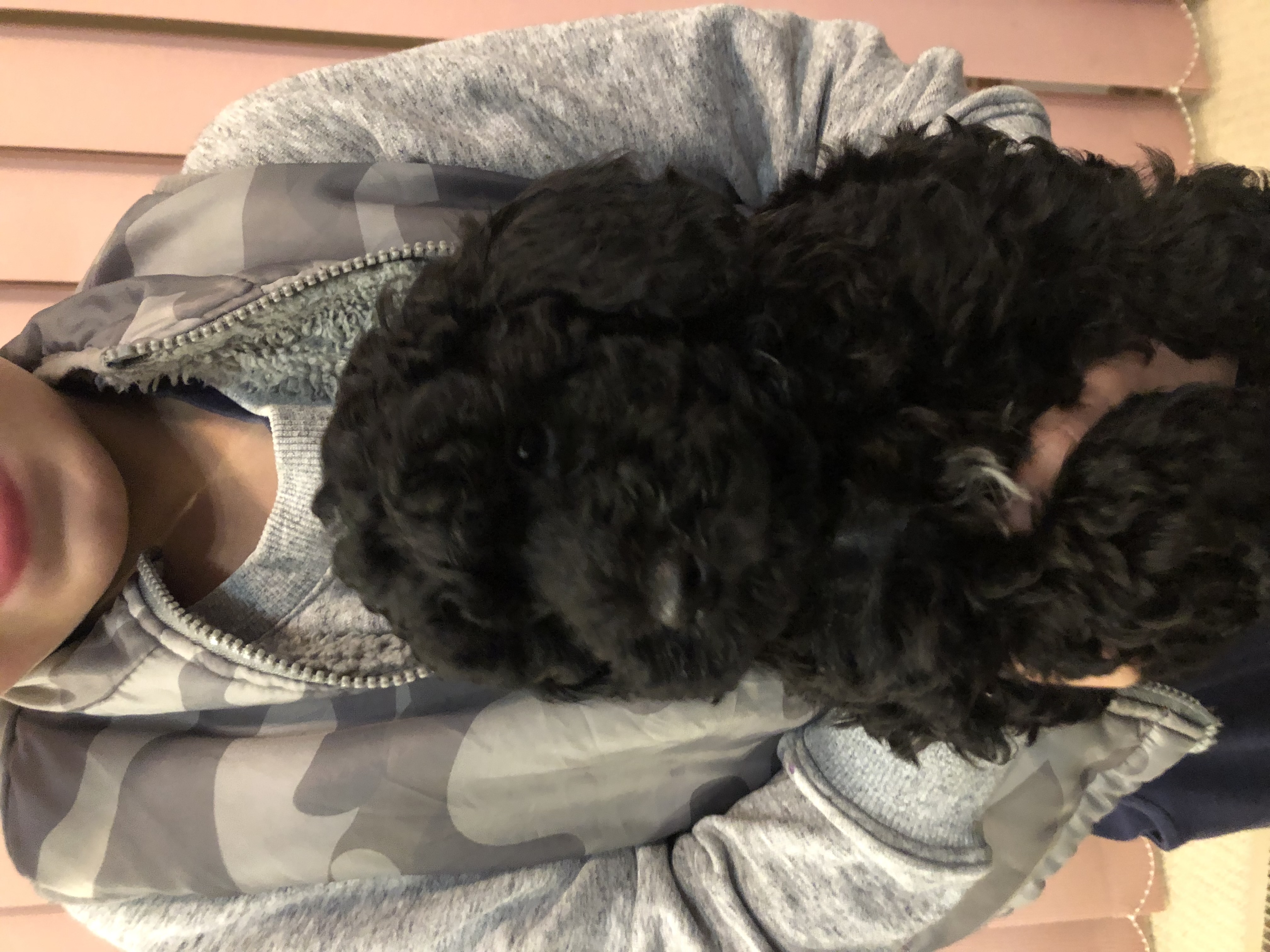 Mother — Coco — photo 2 of 2